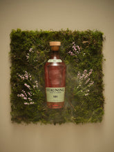 Stauning RØG | Smoked Double Malt