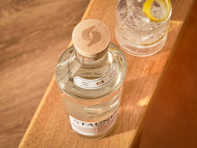 Stauning Danish Dry Gin